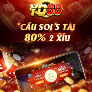 cầu soi yo88